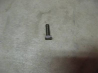 Radiator Mounting Bolt