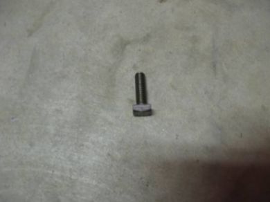 Radiator Mounting Bolt