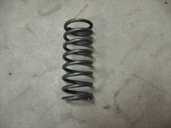 Valve Spring