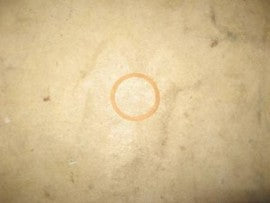 Carburetor Strainer Cage Gasket - 15-30/22-36