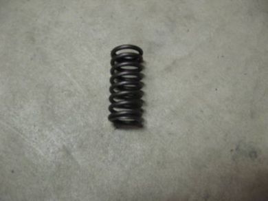 Valve Spring 2 3/8"