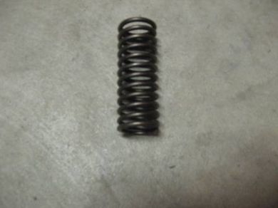 Valve Spring 2 3/4"