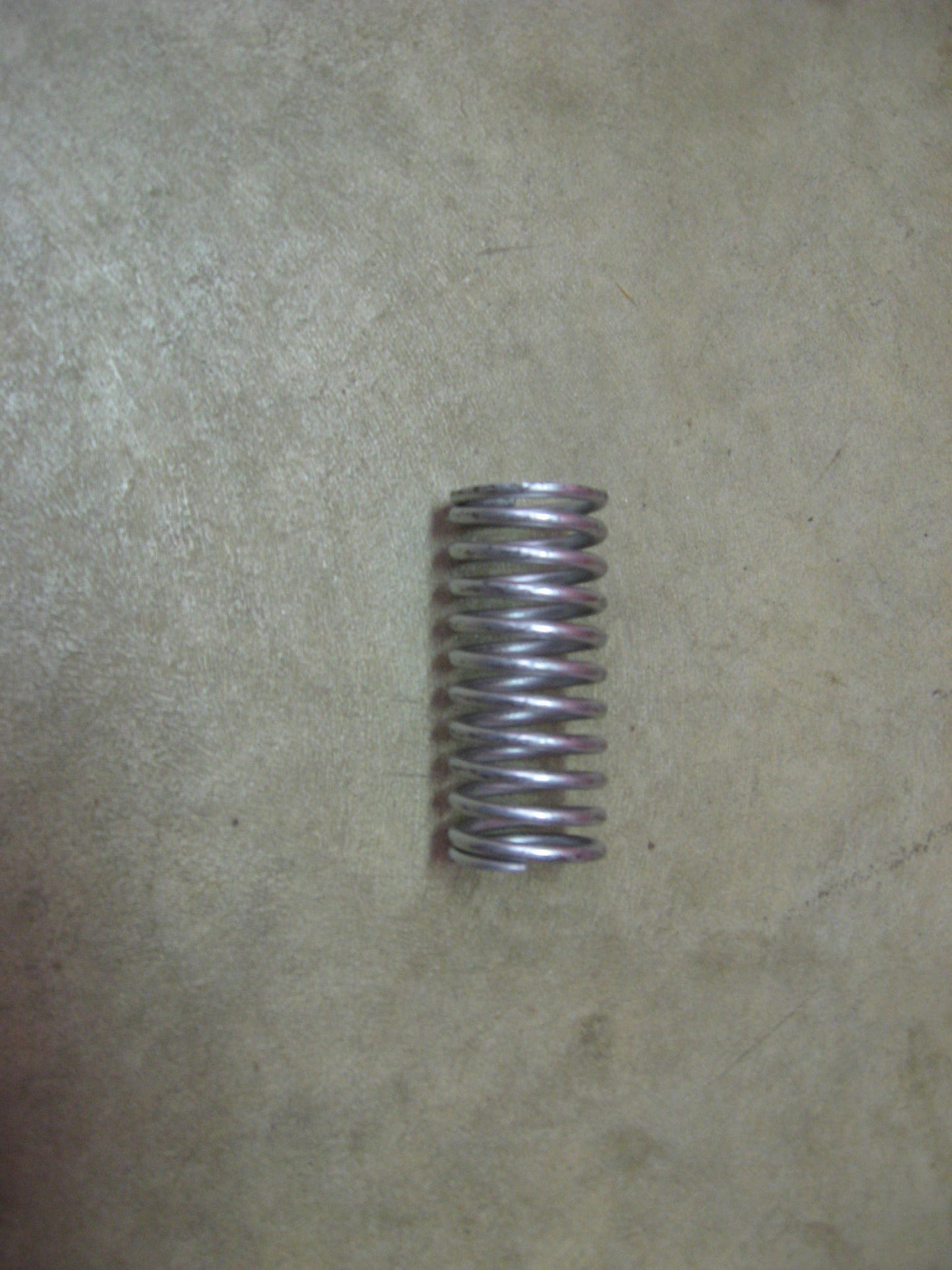 Valve Spring