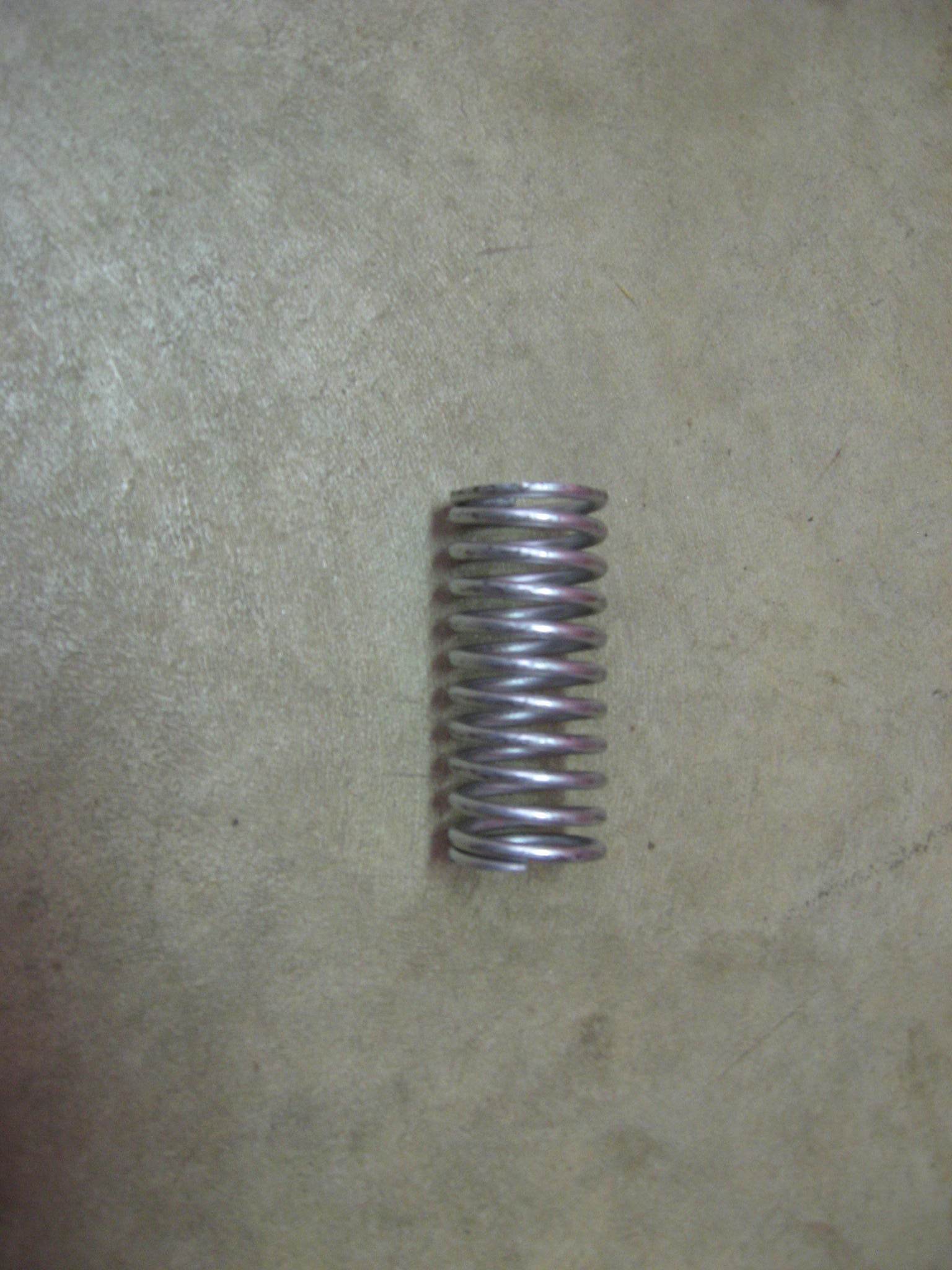 Valve Spring