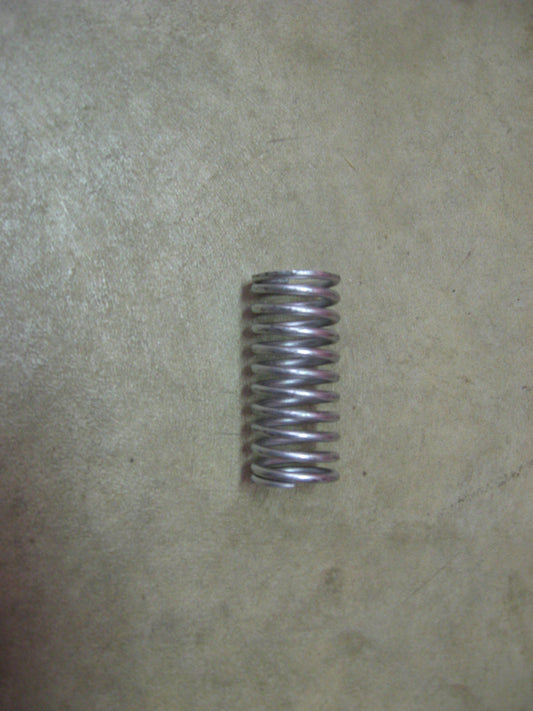 Valve Spring